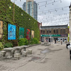 Vivian Lane Gallery (2022)